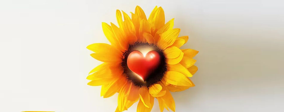 Our ‘Second Brain’ – And Stress, Anxiety, Depression, Mood